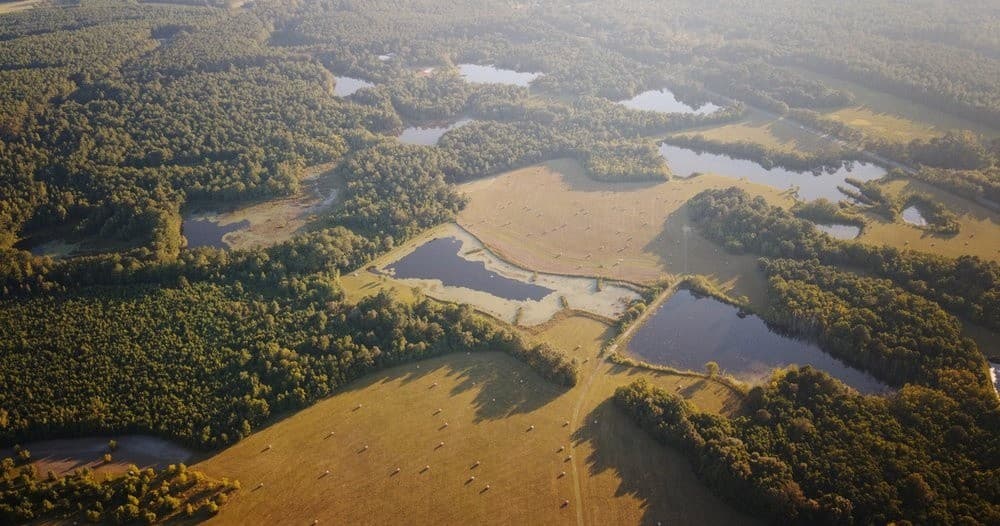 Farm Tours at T's Farm: A Nature Retreat in the Countryside