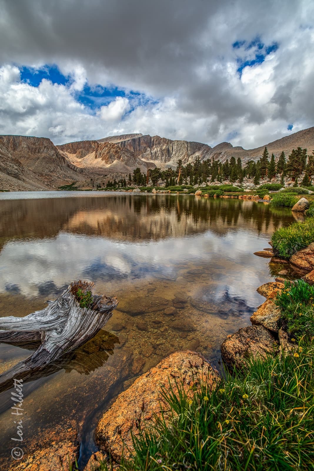 Sierra Nevada Horsepacking: 8-Day August Ride and Perseid Meteor Nights photo 2