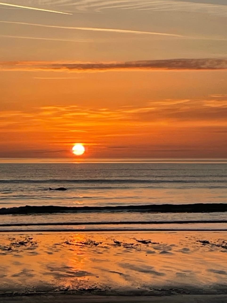 Sunrise Sound Bathing & Aromatherapy on West Sands Beach, St Andrews