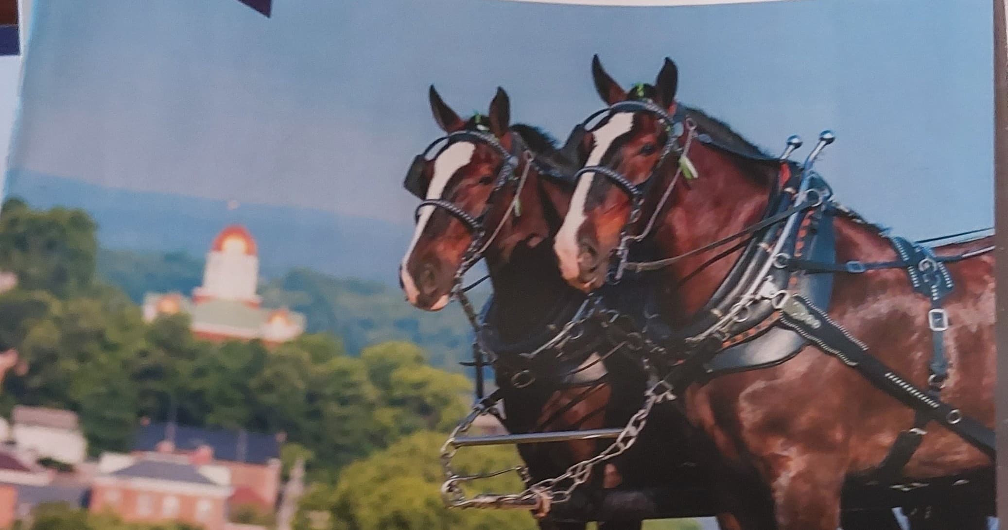 Charming Hermann Farm Carriage Ride in Missouri