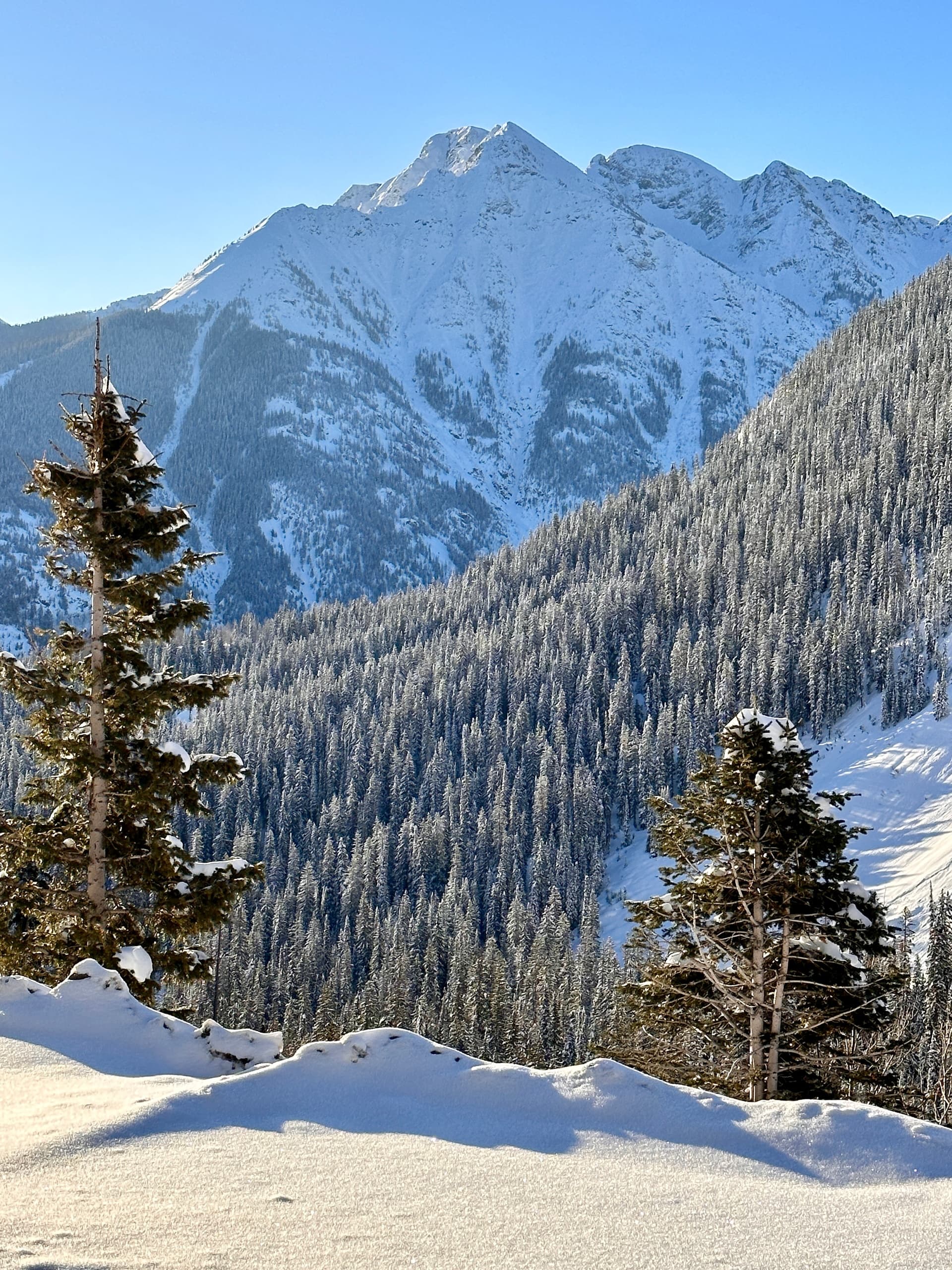 Guided Snowshoe Tours in the San Juan Mountains: Private, Custom Routes from Durango