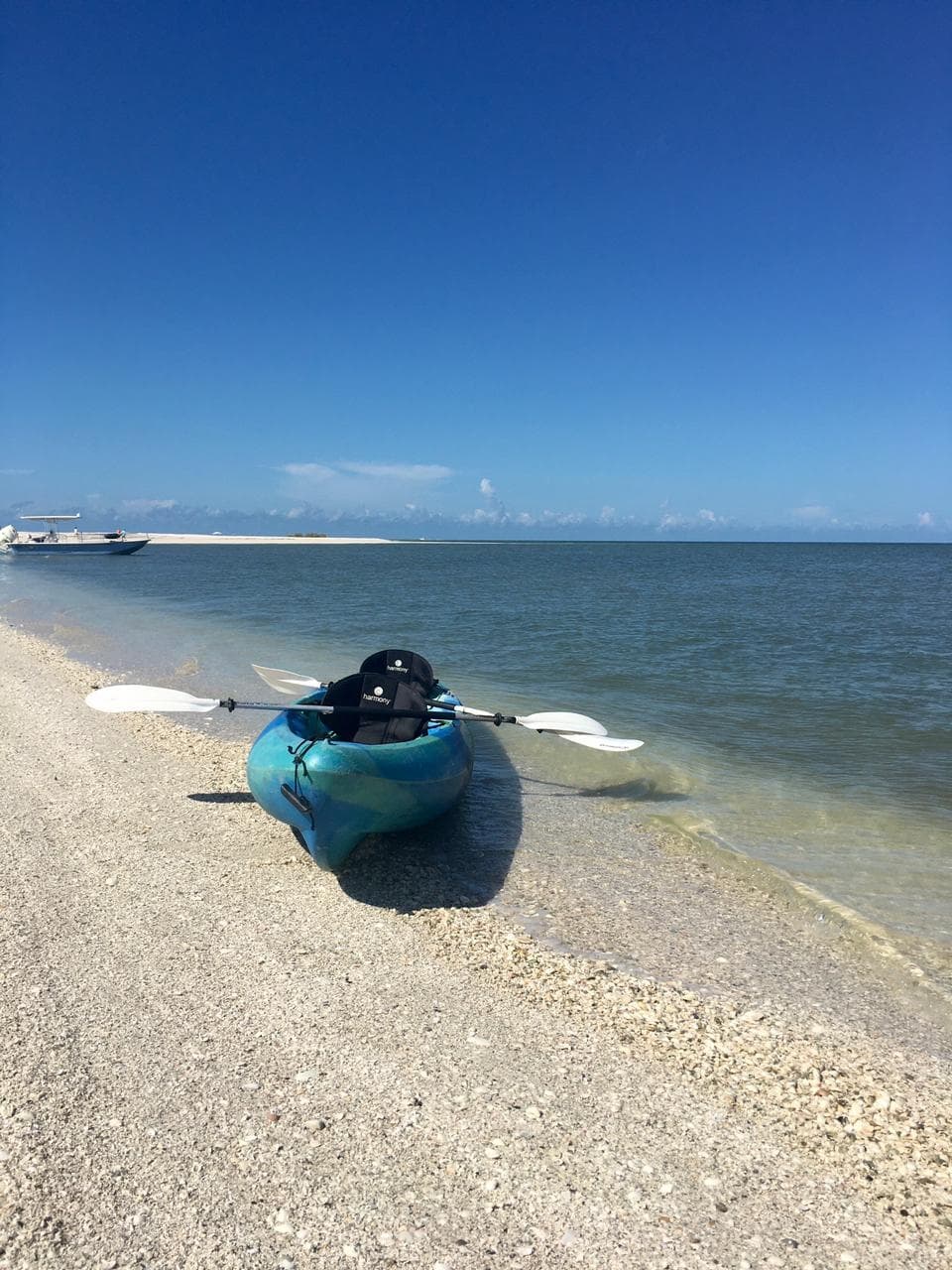 1 Day Kayak & Paddleboard Rental on Marco Island, FL