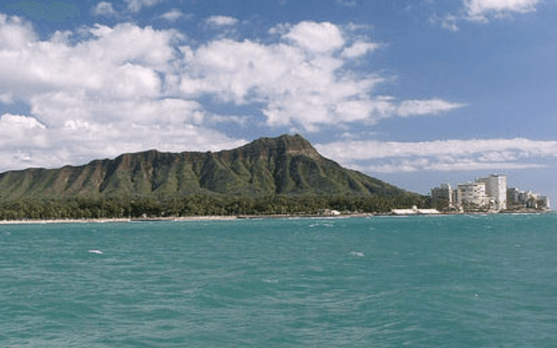 Scenic Coastal Cruise in Honolulu: Dolphin Watching & Sea Views