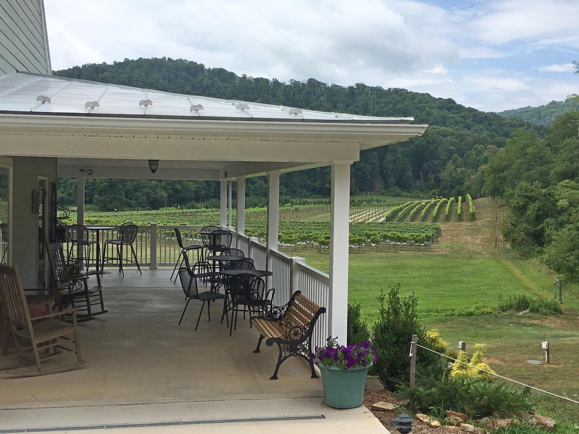 Explore Charlottesville’s Vineyards on The 29 South Hop On Public Tour