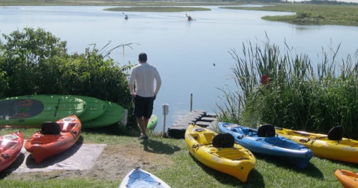Wildlife Kayaking at World Within Kayak Rentals in Ogunquit