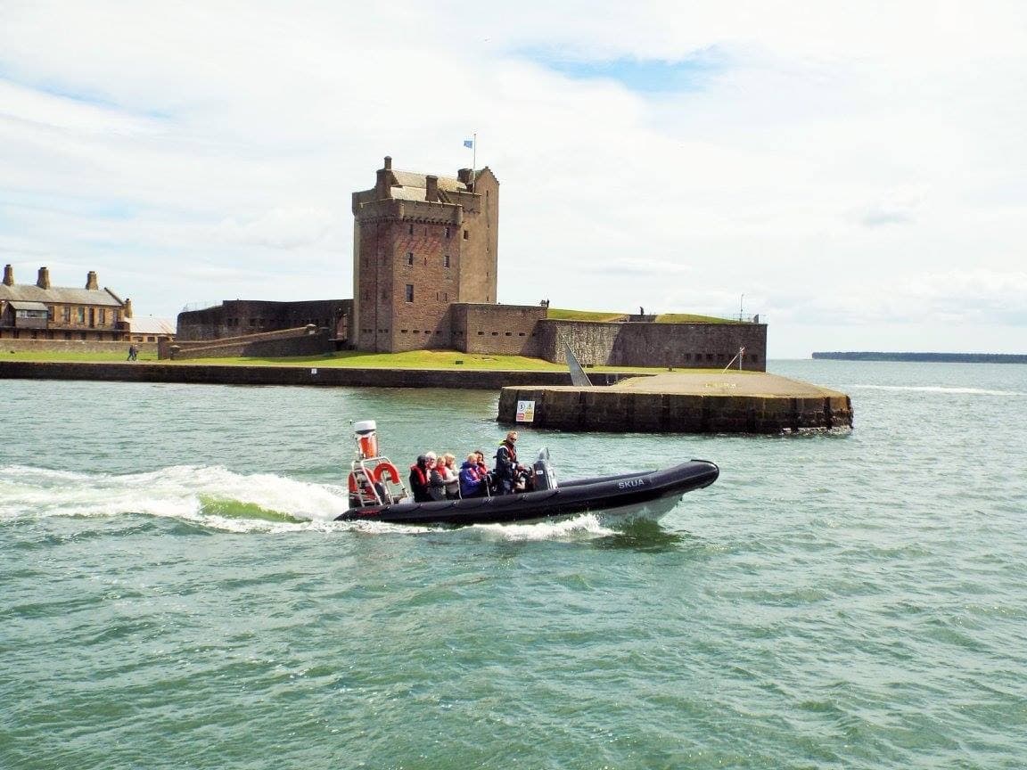 Tay Estuary Rib Boat Seafari with SaltDog Marine in Dundee