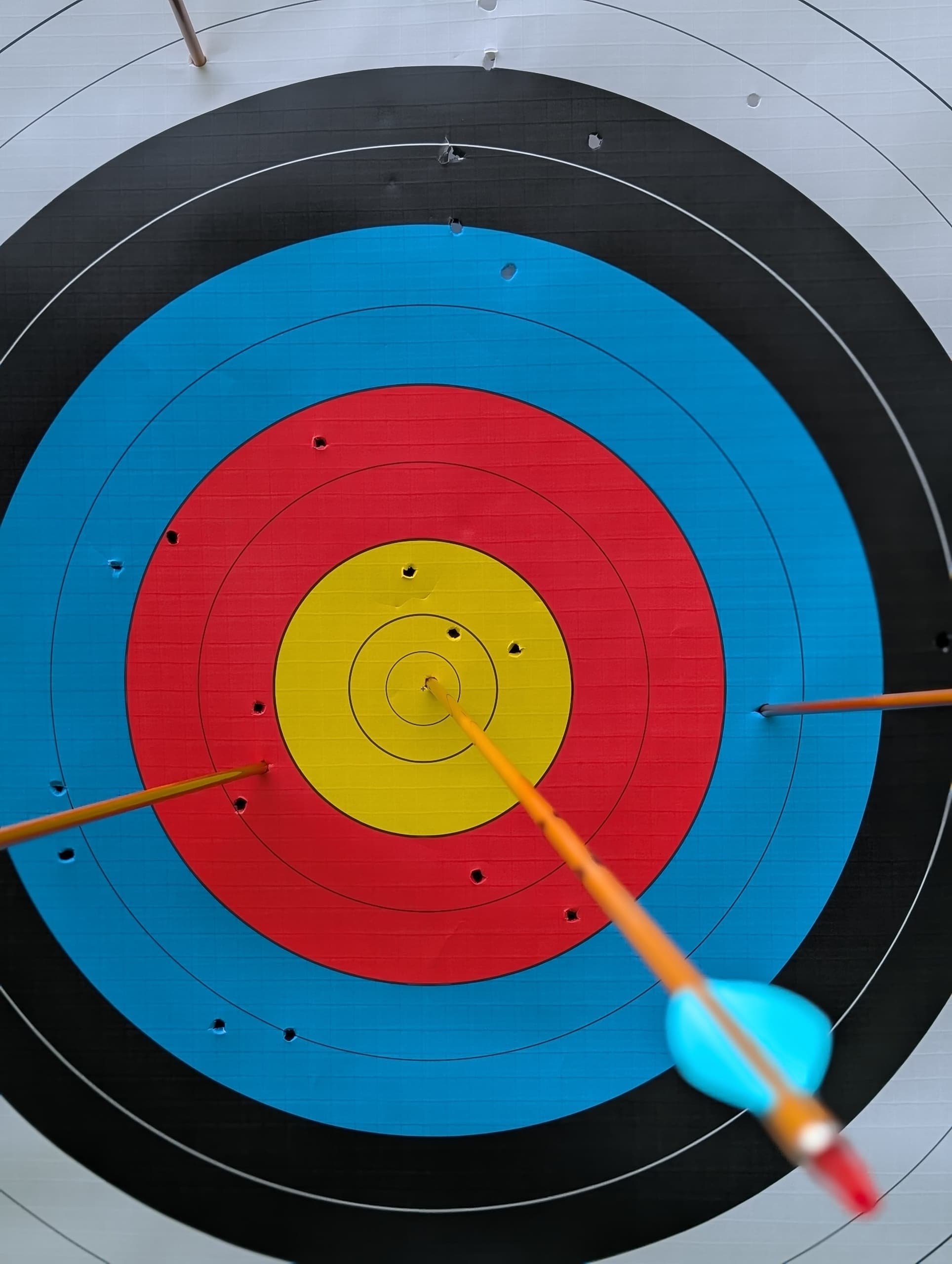 Aim True on Dorset Chalk — Open Archery at Laserguys in Blandford Forum photo 1