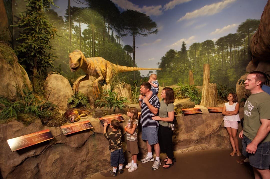 Step Inside Noah’s Ark & the Creation Museum: 3-Day Immersive Mount Pleasant Escape photo 4