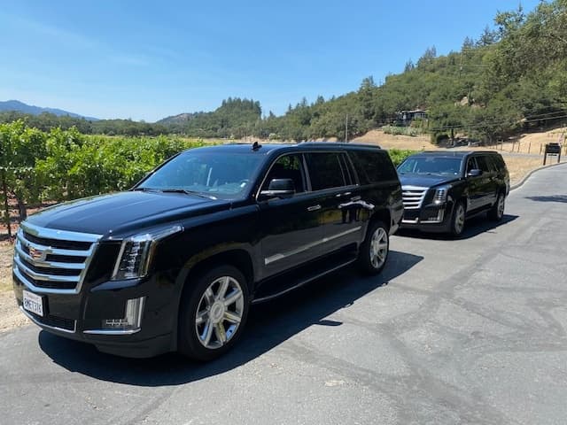 Luxury Land Adventures with Phenomenal Limos & Wine Tours