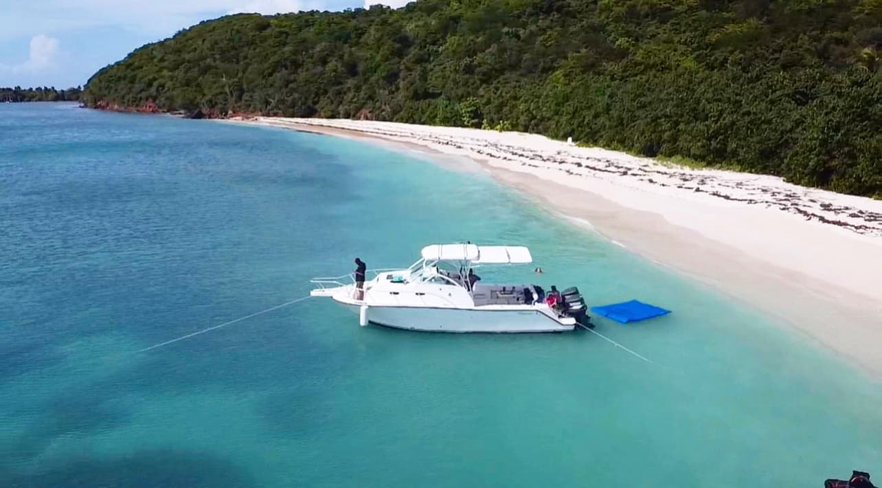 Encanto Boat Tours fleet