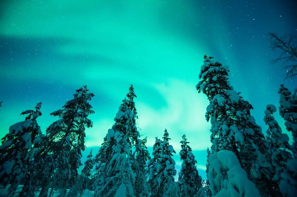 Aurora Horse Carriage Ride with Kakslauttanen in Saariselkä