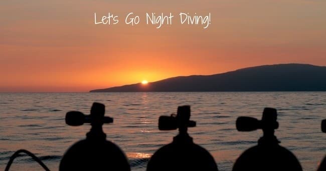 Night Diving with Maui Dreams Dive Co in Maui