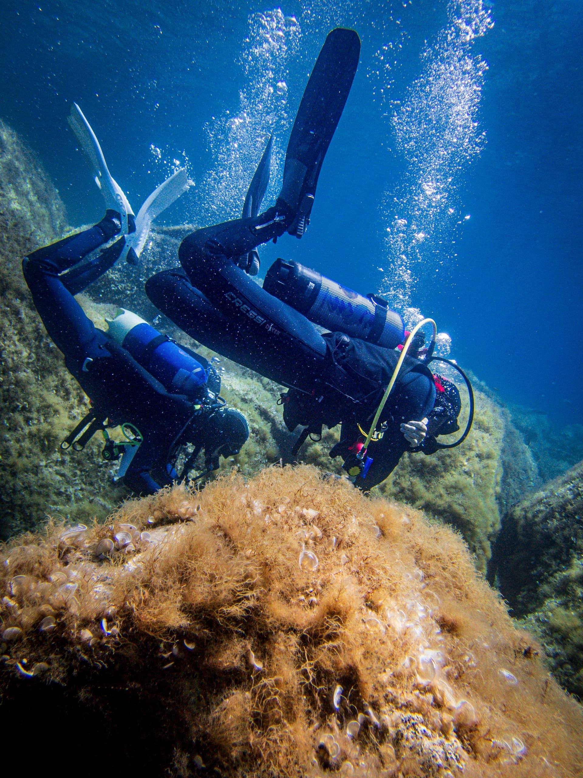Scuba Diving Adventures with Pollo Diving in Porto Pollo