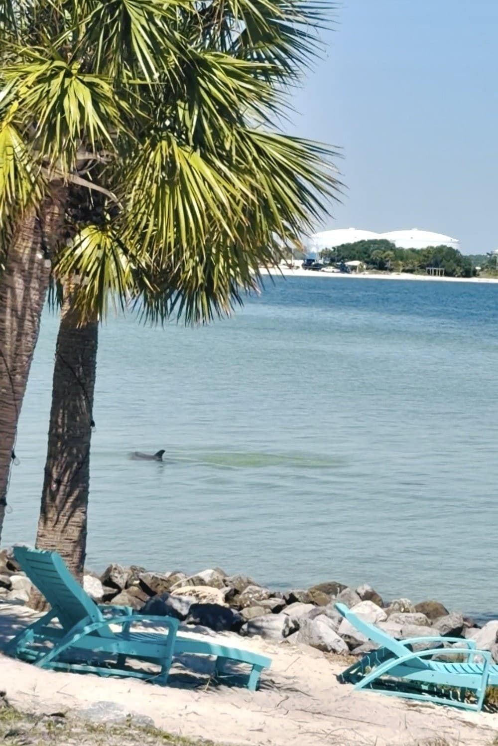 Intermediate SUP Tour: Pensacola Beach Paddle with Dolphins and Stingrays