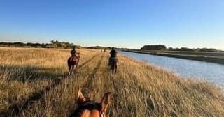 Saddle Up for a Scenic Horse Trail Ride in Miami’s Wild Outdoors