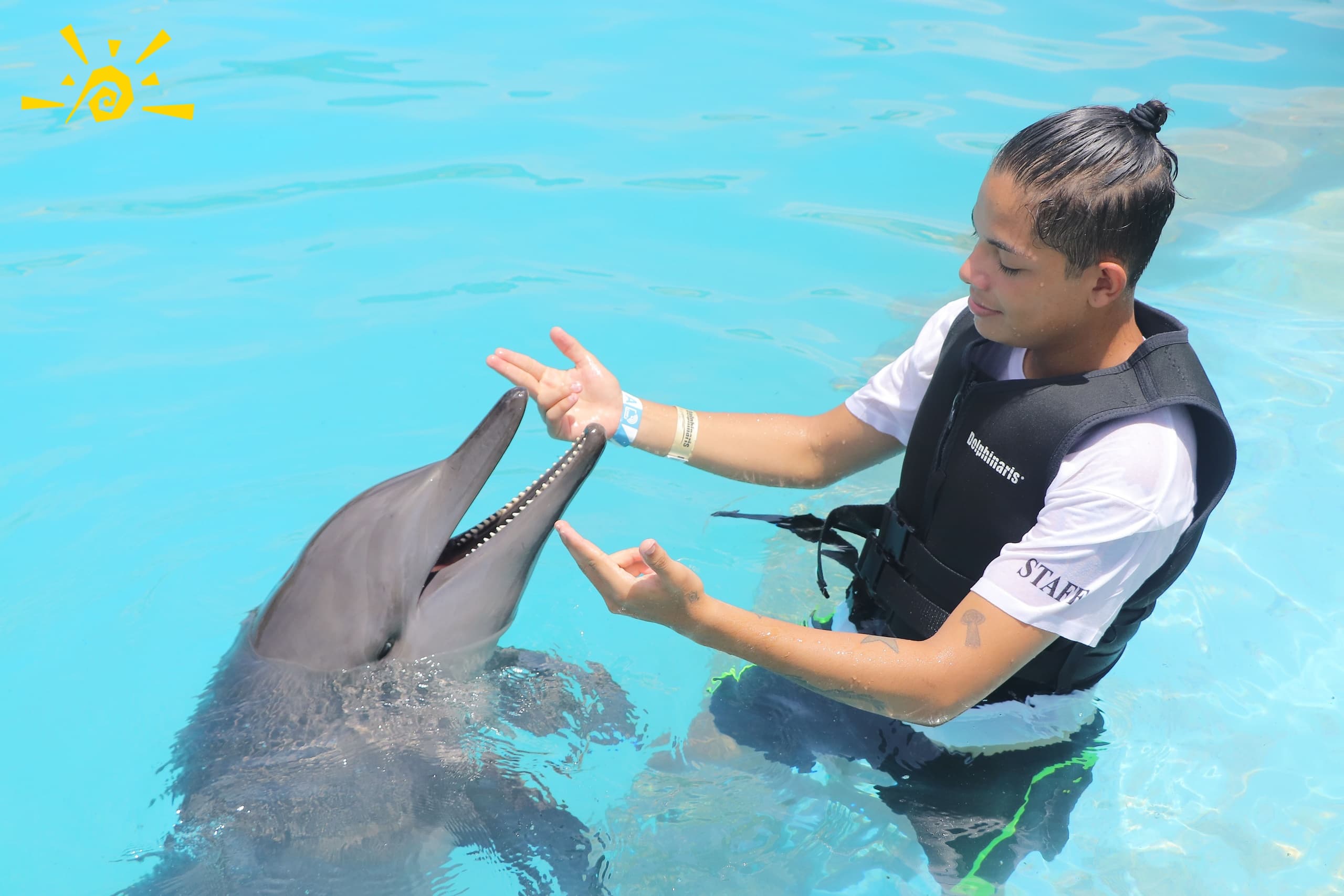 Dolphin Swimming Adventure in Cancun