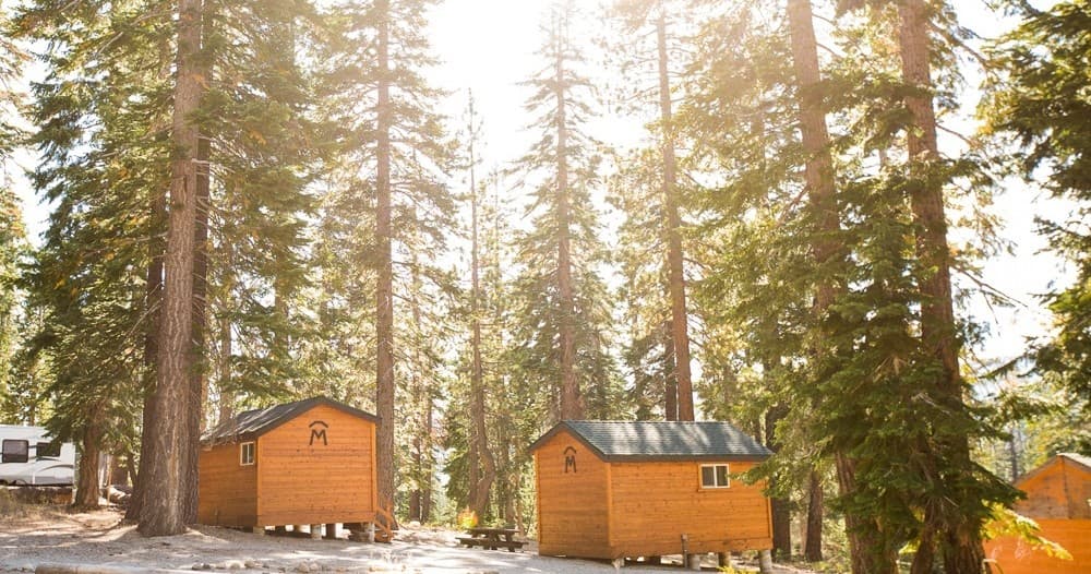 Sunlit wooden cabins among tall pine trees in forest camp