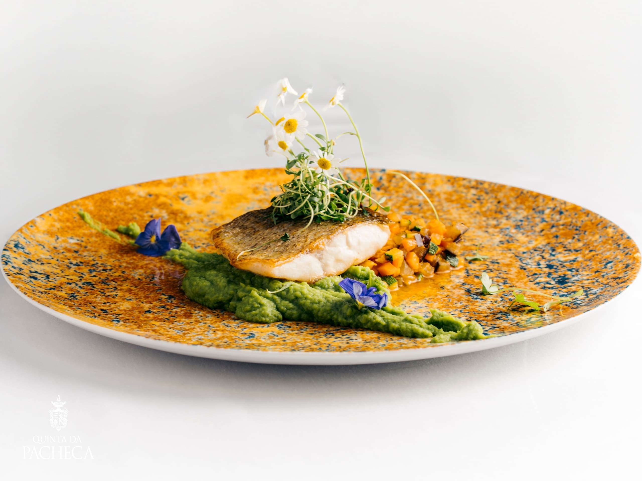 Three-Course Lunch at Quinta da Pacheca — Wine-Paired Douro Experience photo 2