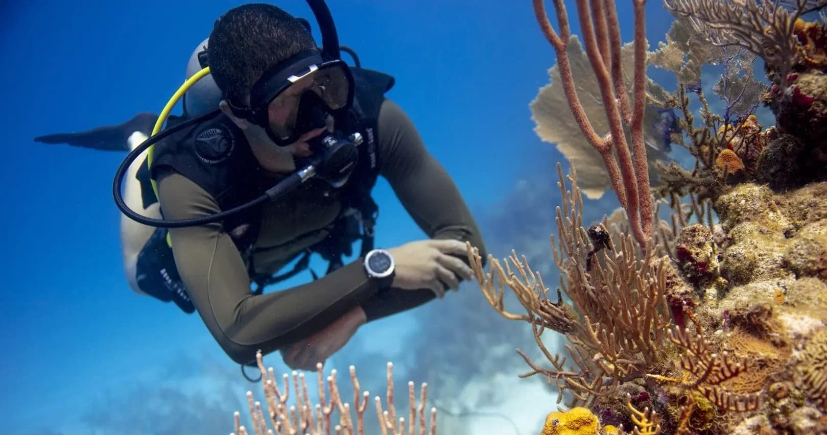 Dive the Whitsundays: Explore Pristine Reefs & Island Wonders