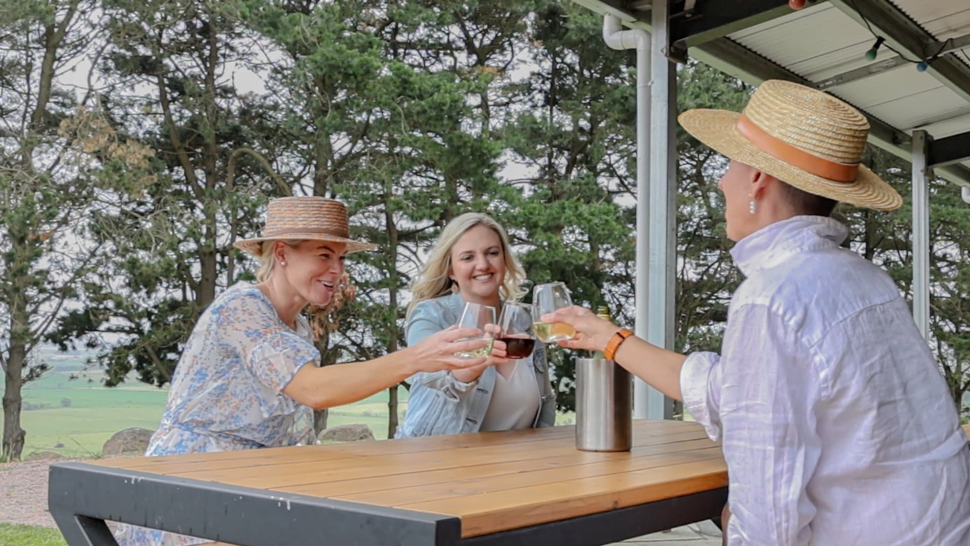 Friends toasting at outdoor picnic table on rural vineyard