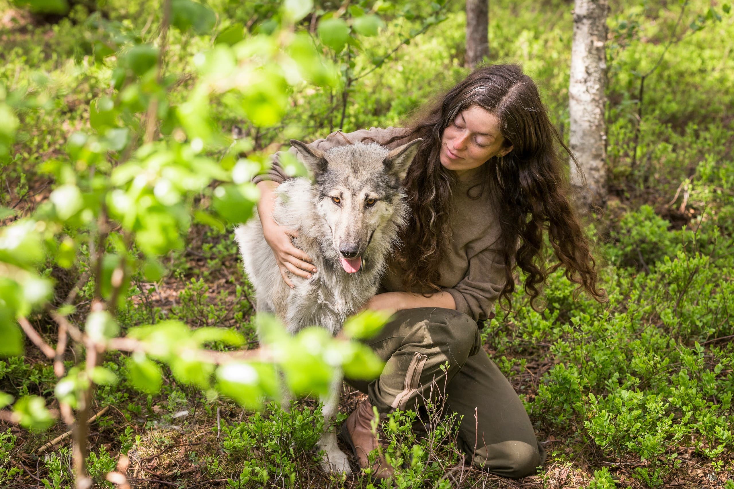 Inside Arctic Wolfland: Private Arctic Wolfdog Encounter in Ketola, Finland