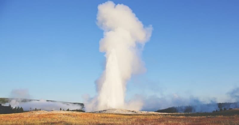 Yellowstone Private Day Tour with BrushBuck Wildlife Tours Inc.