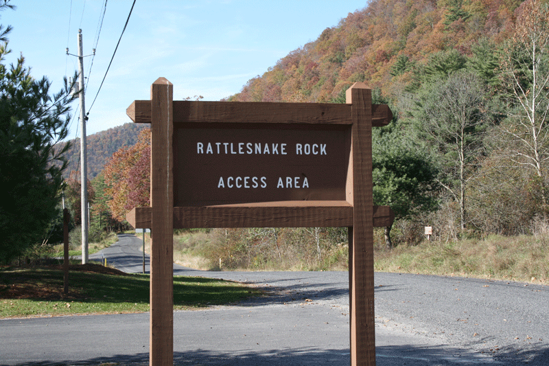 Kayakers navigating scenic rocky river rapids in forest gorge