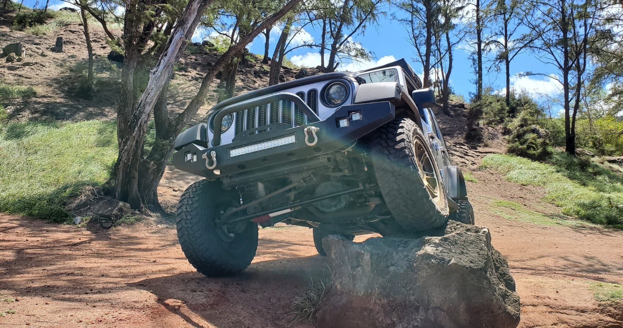 Jeep rock-crawling on rugged forest trail showcasing off-road action