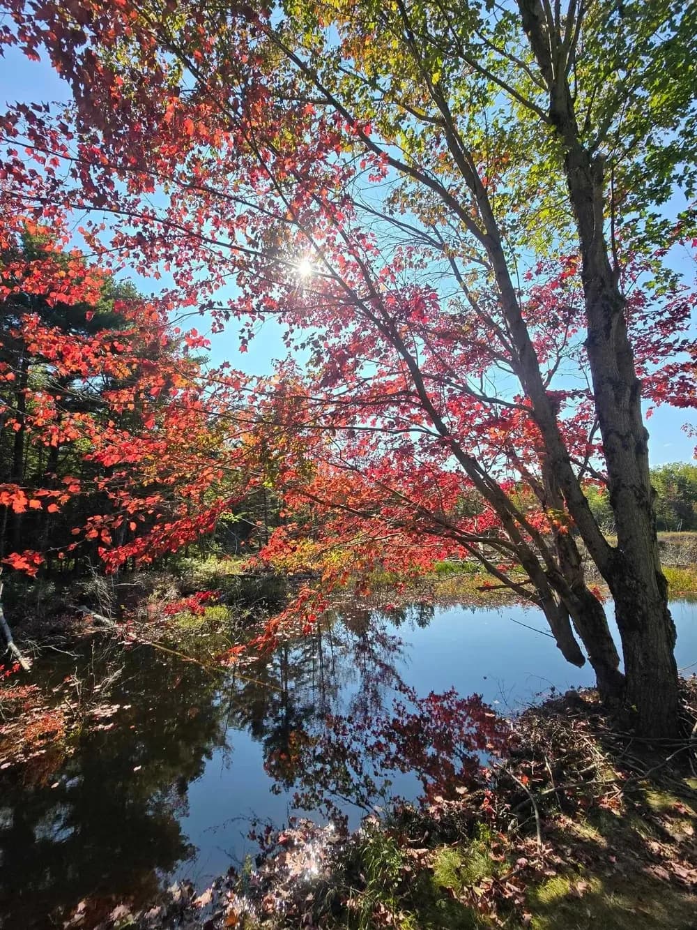 Rockefeller Carriage Road E-Bike Tour: Explore Acadia's Hidden Ponds & Lakes photo 2