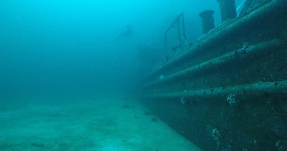 Water Activities with Niuhi Dive Charters in Hawaii