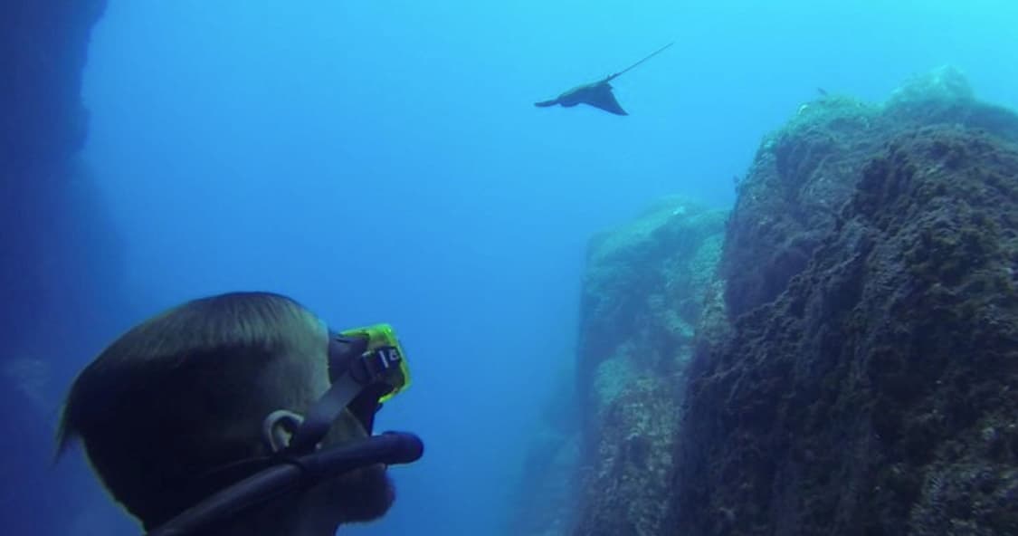 Scuba diver observing manta ray and underwater rock formations