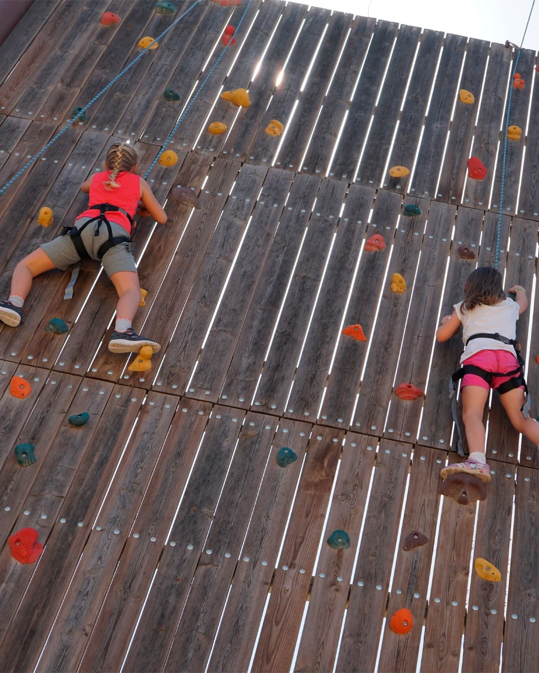 Forest Rangers Spring Camp at Aventura Parks Dubai: Ghaf Forest Survival & Zipline for Kids