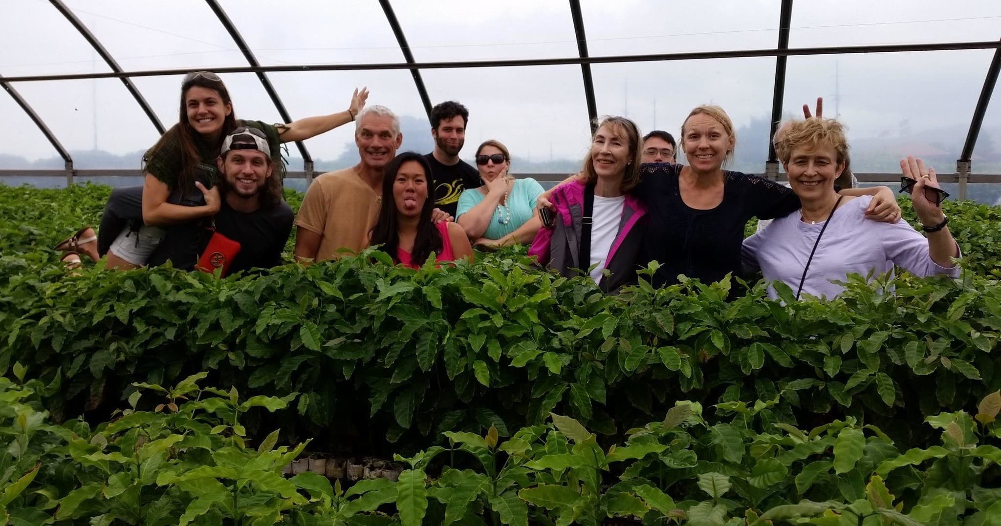 Coffee on the Brain Tour at Kauai Coffee in Kalaheo
