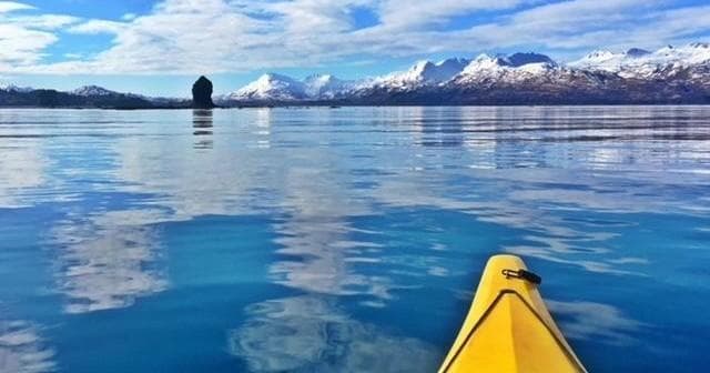 Kayak & Wilderness Tour with Kayak Kodiak LLC in Kodiak