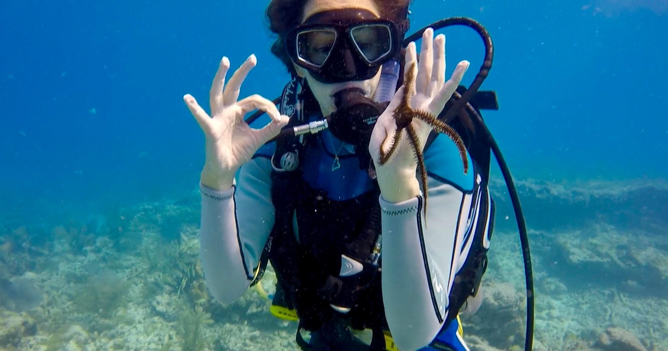 Scuba Diving at Tilden's Scuba Center – Open Water Adventures in the Ocean