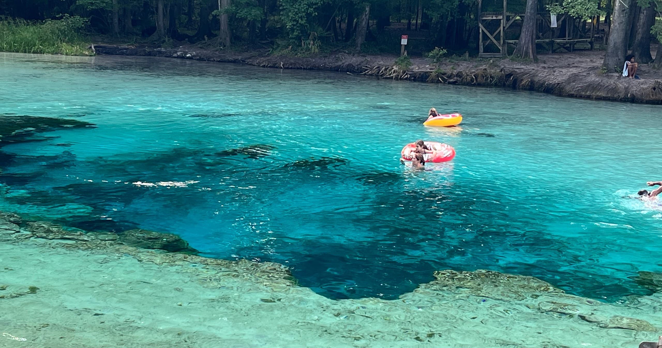 Moonlit Paddle Adventure on the Santa Fe River: Family-Friendly Nighttime Kayaking and BBQ in High Springs, Florida