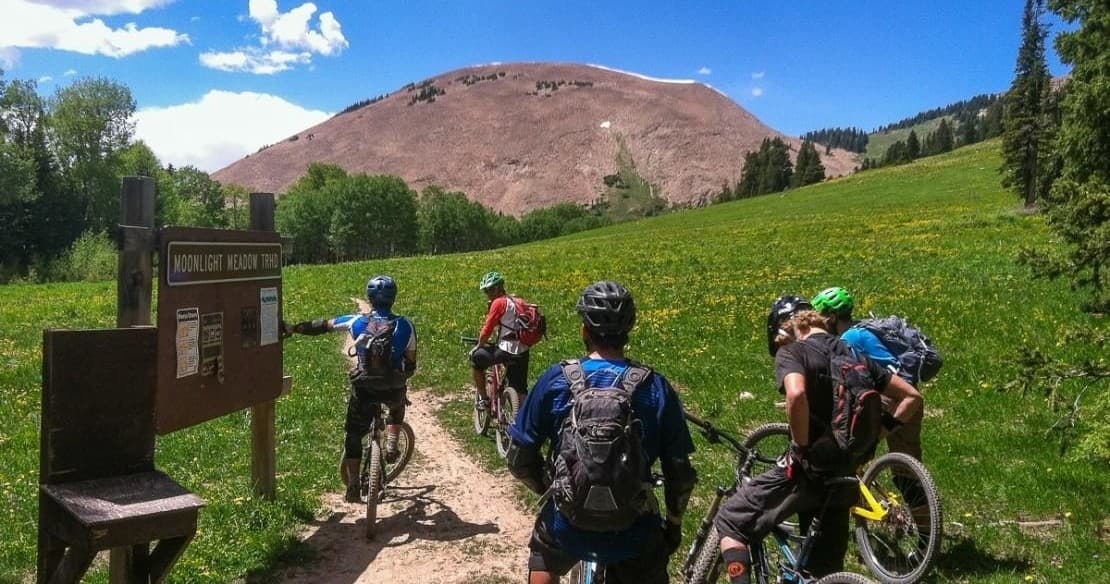 Mountain bikers on alpine trail approaching wildflower meadow