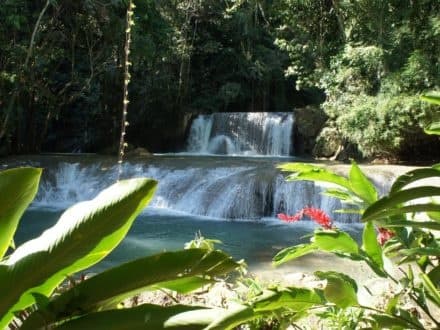 Tiered rainforest waterfalls cascading in Jamaica nature