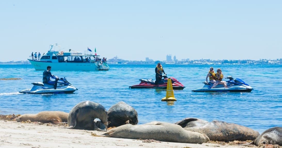 Jet Ski Eco Tour Adventure with Jet Ski Tours Perth