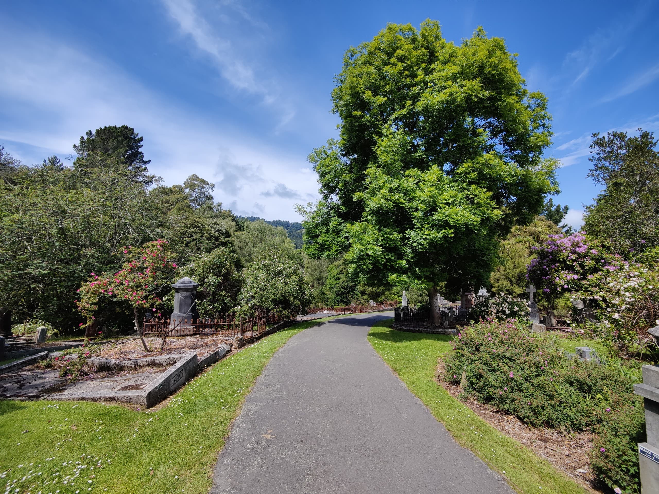 Ghosts, Roses and Clockwork: Northern Cemetery Walking Tour in Dunedin photo 3