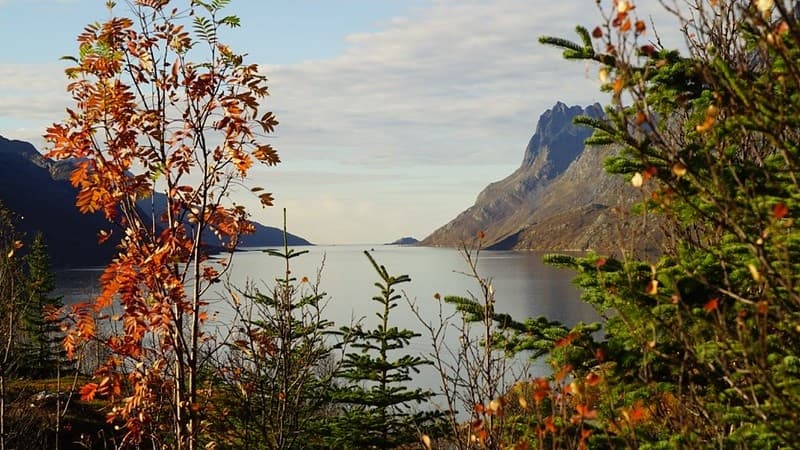 Luxury Fjord Voyage with Arctic Cruise in Norway, Tromsø