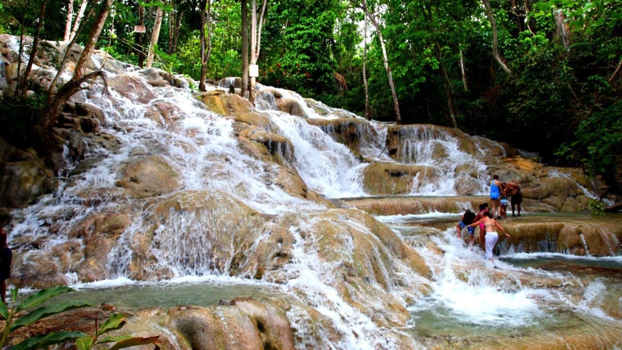 Water Activities & Scott's Transport & Tours JA: Caribbean Adventure