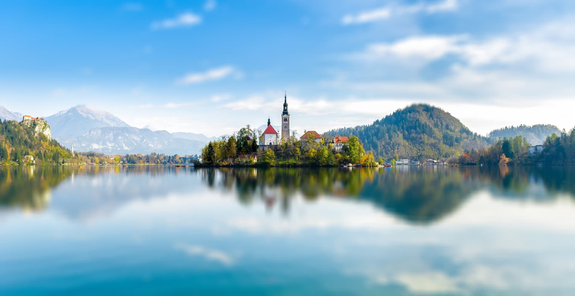 Uncork Slovenia: Interactive Ljubljana Wine Tasting with Local Experts