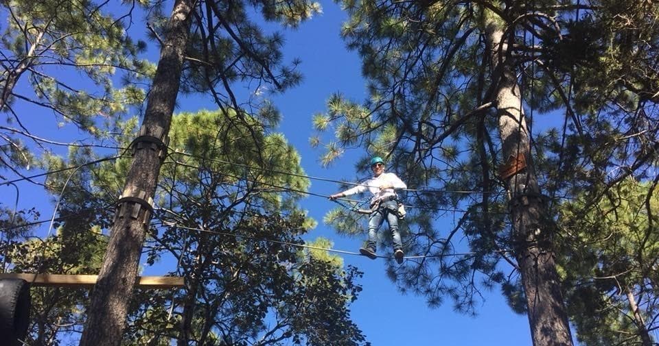 Participant on high ropes course among pine trees in canyon park