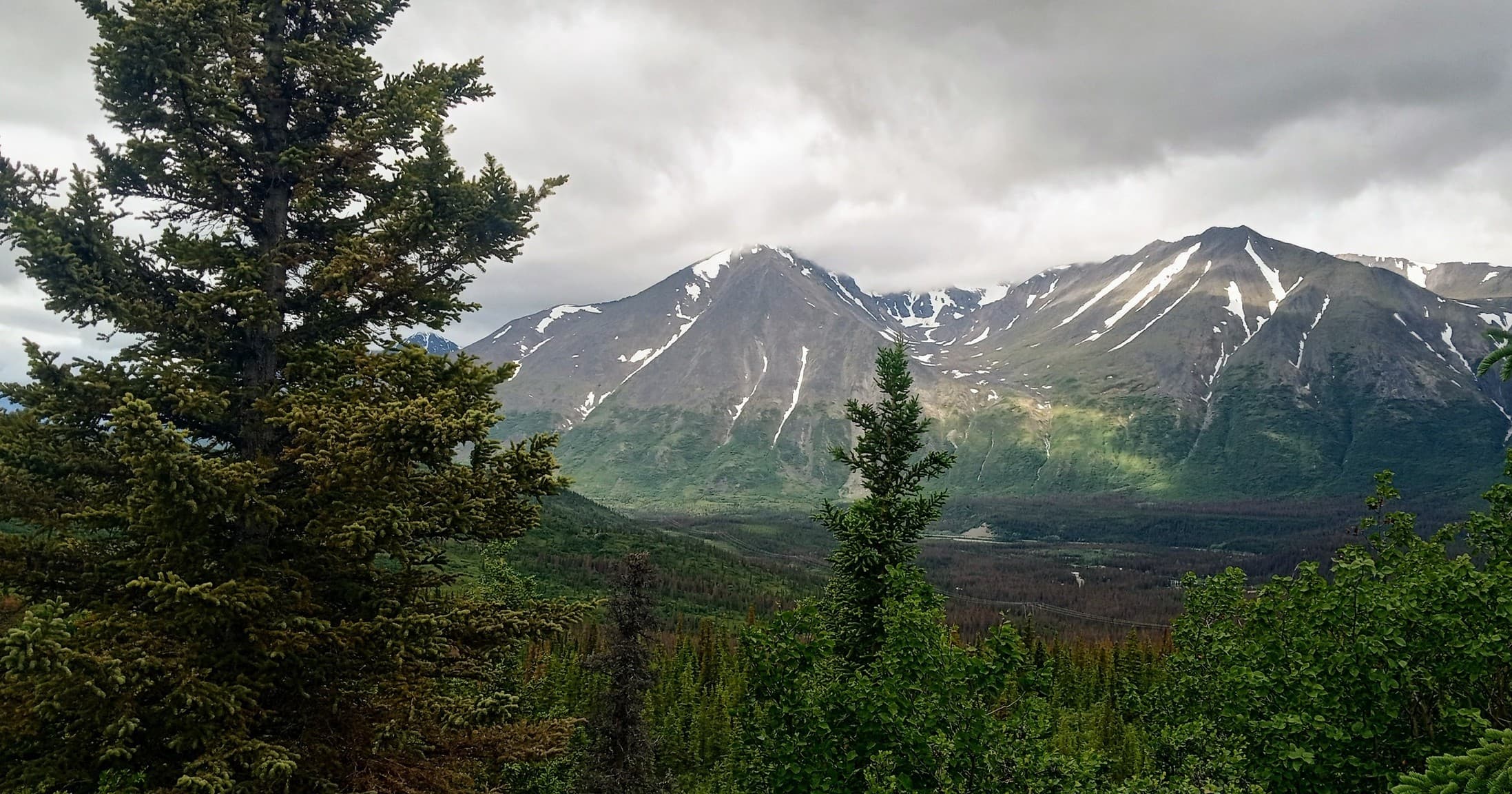 Carlo Mountain Vista Hike in Denali National Park