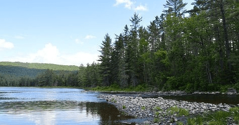 Water Activities with Algonquin North Wilderness Outfitter