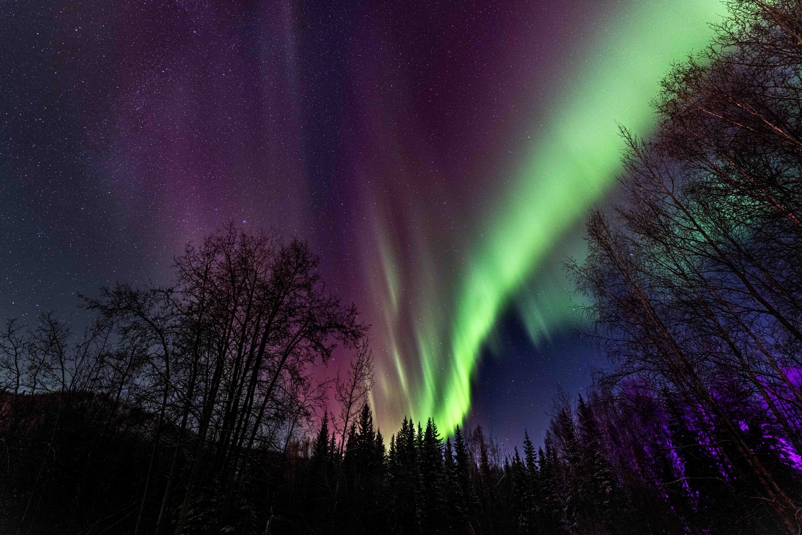 Aurora Photography Workshop & Tour: Capture the Northern Lights from Charlie Dome photo 3