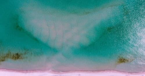 Relaxing Sandbar Cruise with Islamorada Turtle Tours