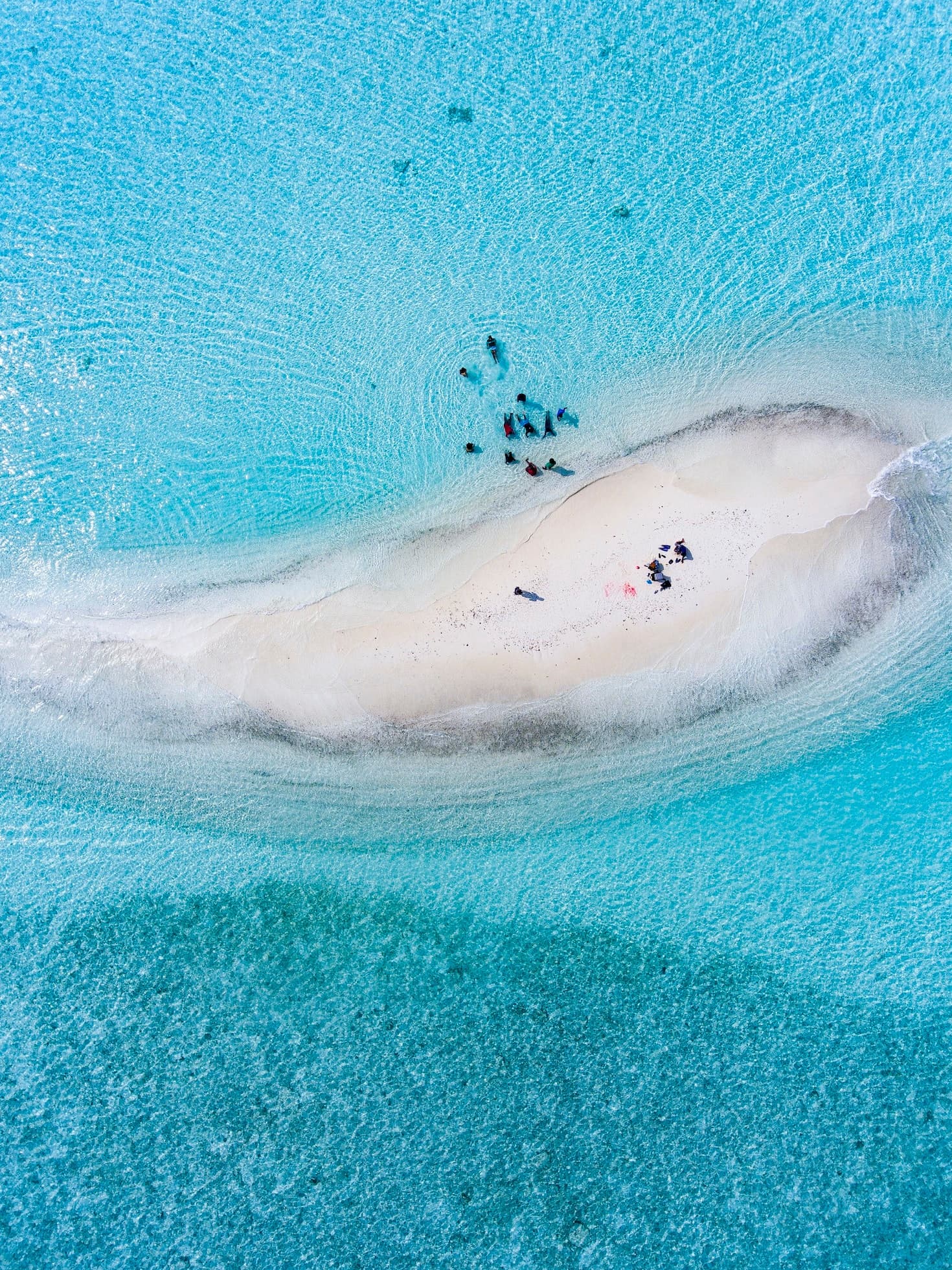 Sandbar Cruise with Islamorada Adventures in Florida