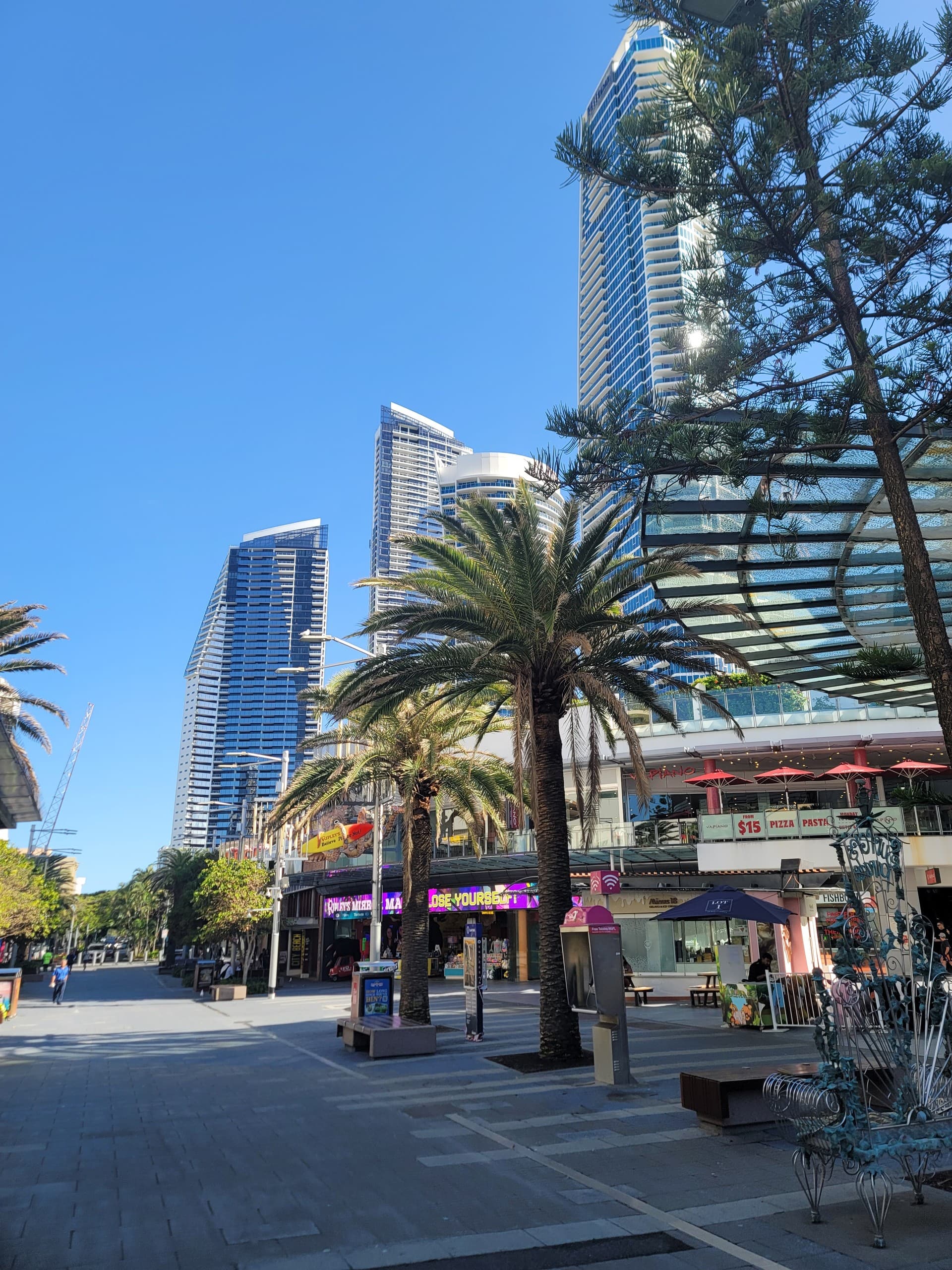 Gold Coast Day Tour: Surfers Paradise, Currumbin Beach & Wildlife Options photo 1